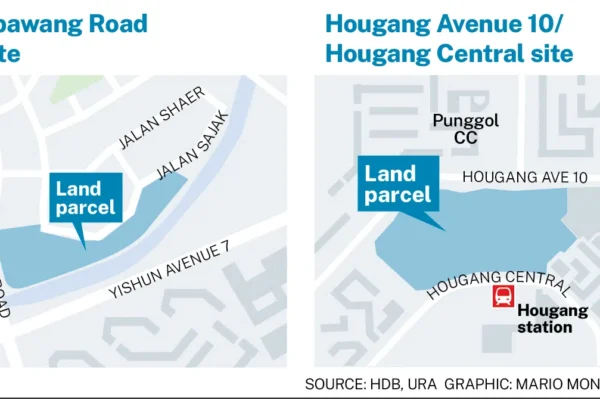 Both parcels are on the confirmed list under the government land sales programme for H1 2025. GRAPHIC: BT VISUAL