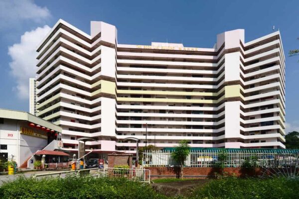 Tan Boon Liat Building near River Green and Zion Road Condo